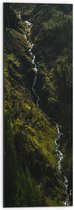 WallClassics - Dibond - Klein Stromend Water tussen Dichtbegroeide Groene Bomen - 30x90 cm Foto op Aluminium (Met Ophangsysteem)