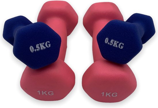 Oprichter Omgeving Kruik dumbell set 0,5 en 1 kg - fitness - gewicht - set - 0,5 + 1 kg - 2x0,5kg,  2x1kg -... | bol.com