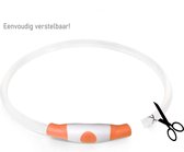 Ledhasbad - Hoden - Katten - Groenealsband - 70 cm - Lichtgvende Halbandhod - - - USB opladbaar - Verstelbaar - Groen