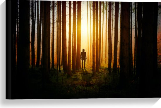 Canvas - Man in Bos met Hoge Bomen tijdens Felkleurige Zonsondergang - 60x40 cm Foto op Canvas Schilderij (Wanddecoratie op Canvas)