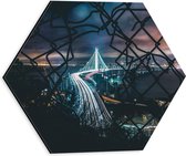 Dibond Hexagon - Stad in de Nacht - 30x26.1 cm Foto op Hexagon (Met Ophangsysteem)