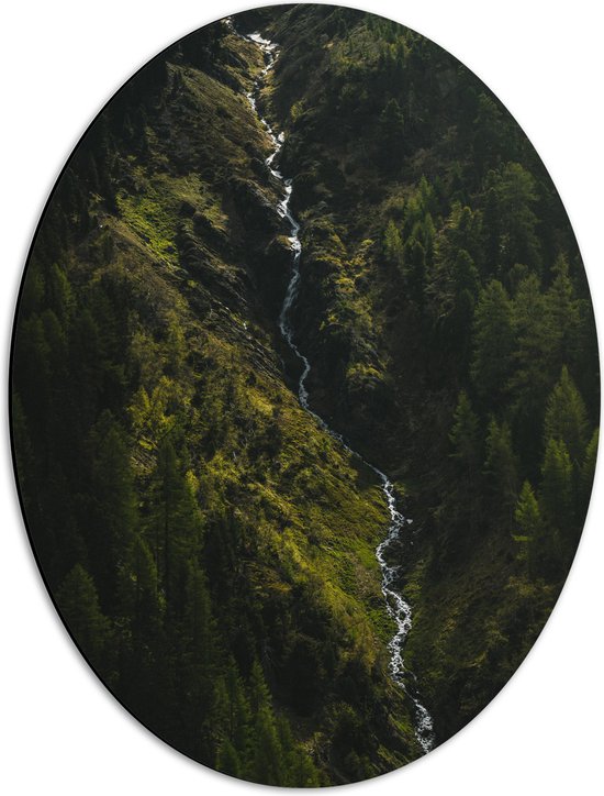 WallClassics - Dibond Ovaal - Klein Stromend Water tussen Dichtbegroeide Groene Bomen - 42x56 cm Foto op Ovaal (Met Ophangsysteem)