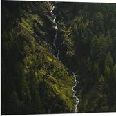 WallClassics - PVC Schuimplaat - Klein Stromend Water tussen Dichtbegroeide Groene Bomen - 80x80 cm Foto op PVC Schuimplaat (Met Ophangsysteem)