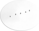 WallClassics - PVC Schuimplaat Ovaal - Zwarte Vogels Vliegend in Lijn op Witte Achtergrond - 56x42 cm Foto op Ovaal (Met Ophangsysteem)