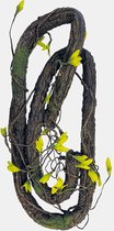 Repto Plant Climbing - Terrariumplant