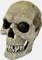 Repto Deco Human Skull Xl - Afmetingen: 16 x 22 x 20cm