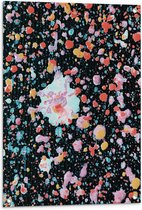 Tuinposter – Kleine Vlekken in Pastelkleuren op Zwarte Achtergrond - 60x80 cm Foto op Tuinposter (wanddecoratie voor buiten en binnen)