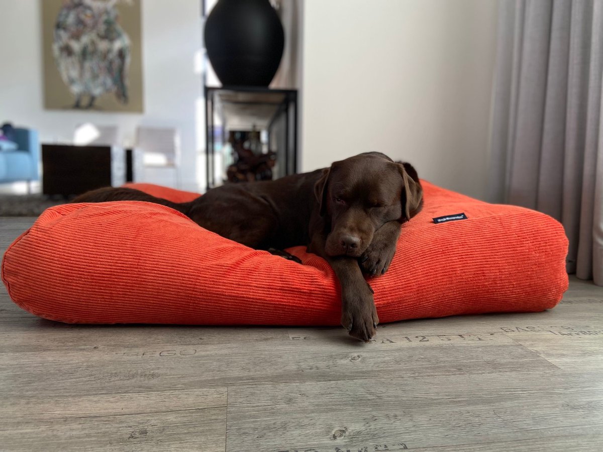 Dog's Companion Hondenkussen / Hondenbed - S - 70 x 50 cm - Oranje Ribcord