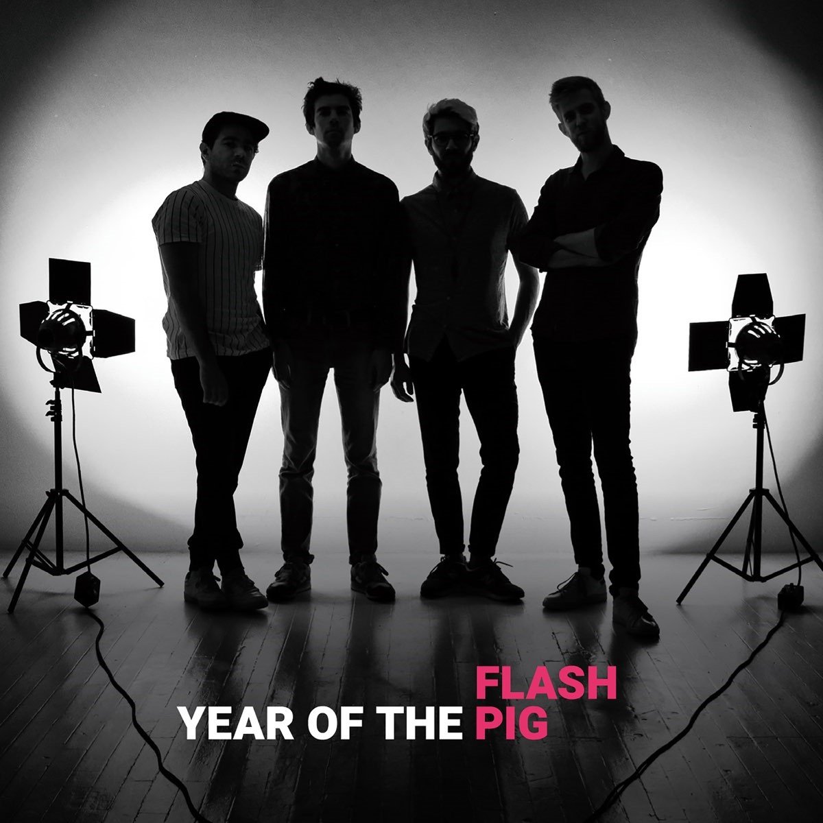 Flash Pig - Year Of The Pig (CD)