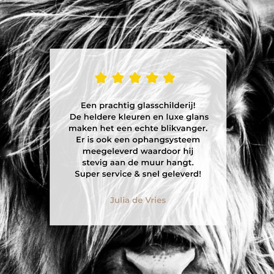 Peinture sur verre - Photo sur verre - Highlander écossais - Nature - Vache - Zwart et blanc - Verre acrylique - Décoration murale - 150x100 cm - Peinture sur verre Highlander écossais - Peinture sur verre - Décoration d'intérieur