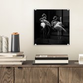 MuchoWow® Glasschilderij 20x20 cm - Schilderij acrylglas - Groep flamingo's op een zwarte achtergrond - zwart wit - Foto op glas - Schilderijen
