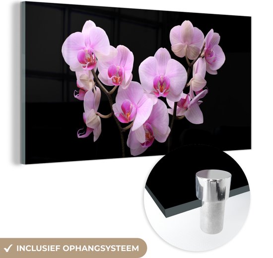 MuchoWow® Glasschilderij 120x60 cm - Schilderij acrylglas - Orchidee - Bloemen - Roze - Flora - Foto op glas - Schilderijen