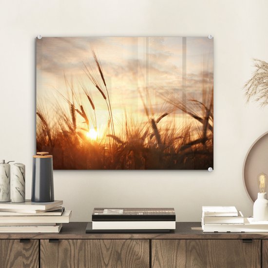 MuchoWow - Peinture sur verre - Photo sur verre - Roseau - Herbe - Soleil - Nature - 40x30 cm - Image sur verre - Décoration murale - Peinture nature - Verre acrylique