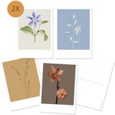 Ansichtkaarten - set - bloemen - blanco - clematis - physalis - botanisch - kunstkaart - fotografie