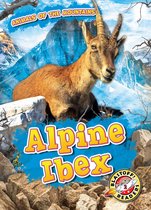 Animals of the Mountains - Alpine Ibex