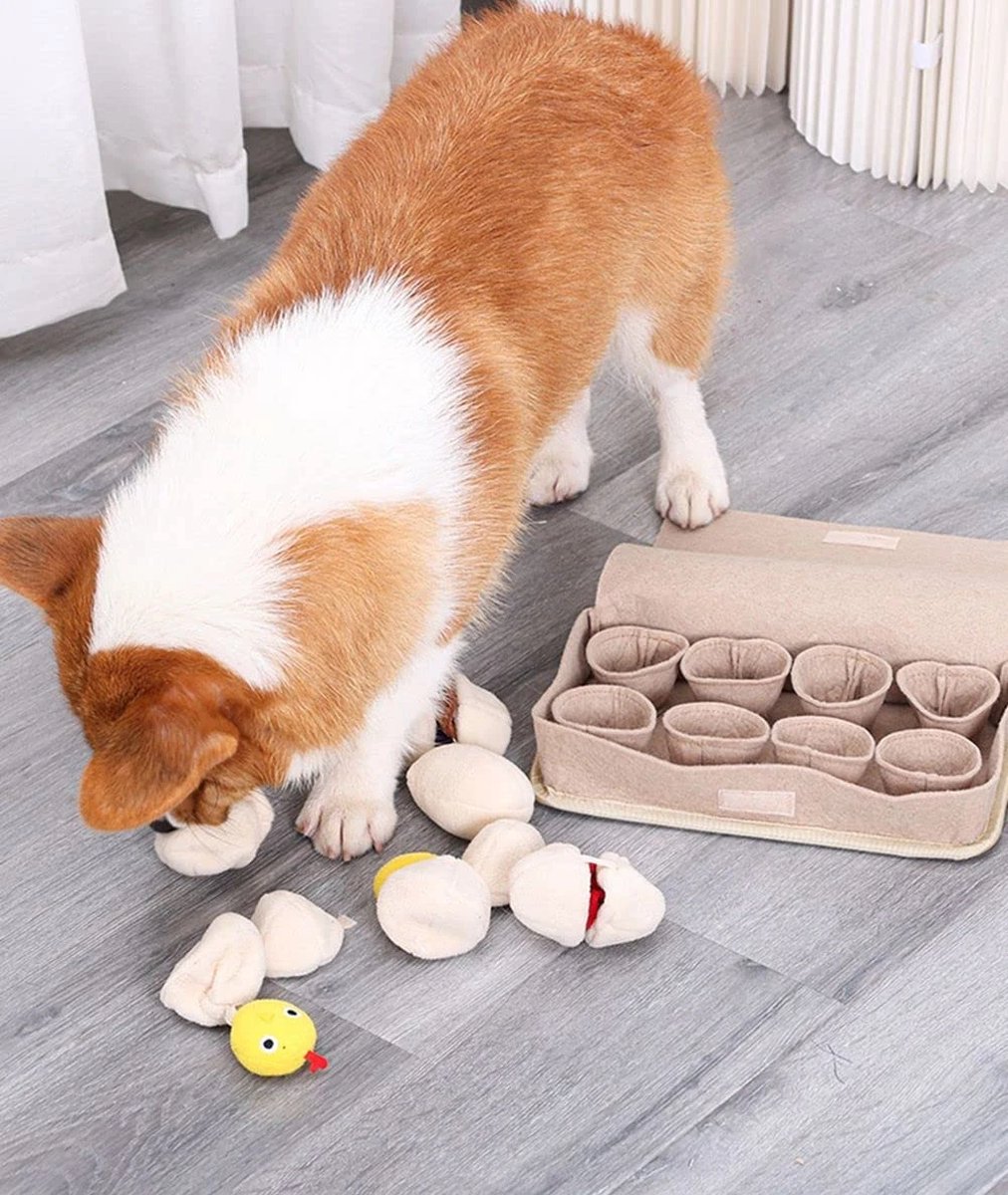 Adori Snuffelbal - Hondenspeelgoed - 17x17x5 cm 87 g - Interactief Speelgoed - Pets Place Adori Snuffelbal - Hondenspeelgoed - 17x17x5 cm 87 g - Interactief Speelgoed - Pets Place