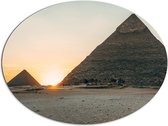 Dibond Ovaal - Woestijn met Piramides - Egypte - 96x72 cm Foto op Ovaal (Met Ophangsysteem)
