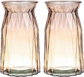 2x stuks bellatio Design Bloemenvaas - 2x - amber bruin glas - D12 x H20 cm - vaas
