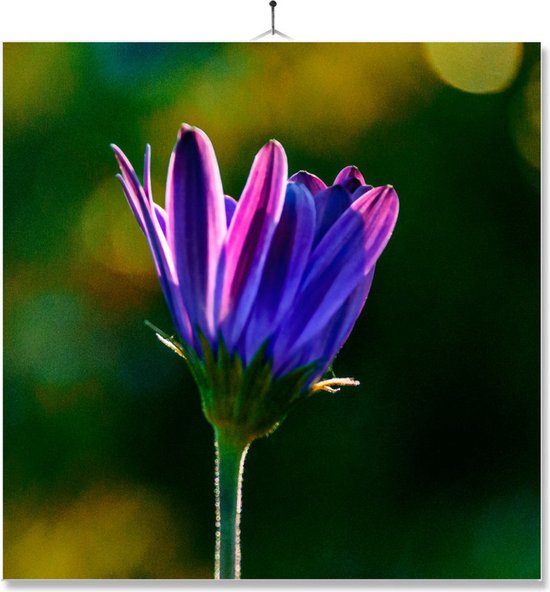 Carrelage Avec Impression | Cadeau | Cadeau d'anniversaire | Fleur