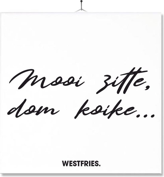 Tegel Met Opdruk | Grappig | Humor | Verjaardag kado | Westfries | Mooi ...