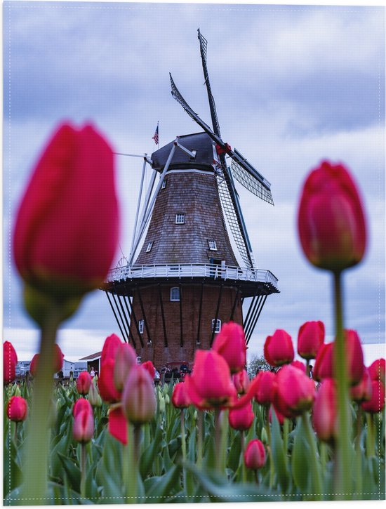 WallClassics - Vlag - Rood Tulpenveld onder aan Bruine Molen - 30x40 cm Foto op Polyester Vlag