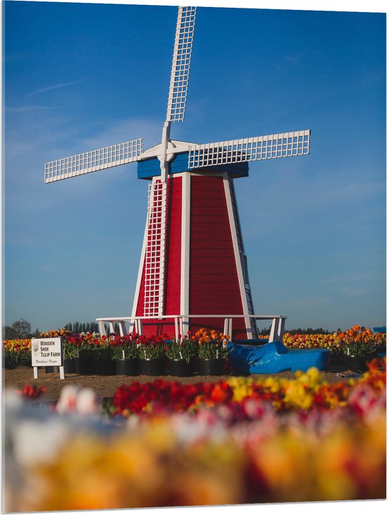 Acrylglas - Rode Windmolen in een Tulpenveld - 75x100 cm Foto op Acrylglas (Wanddecoratie op Acrylaat)