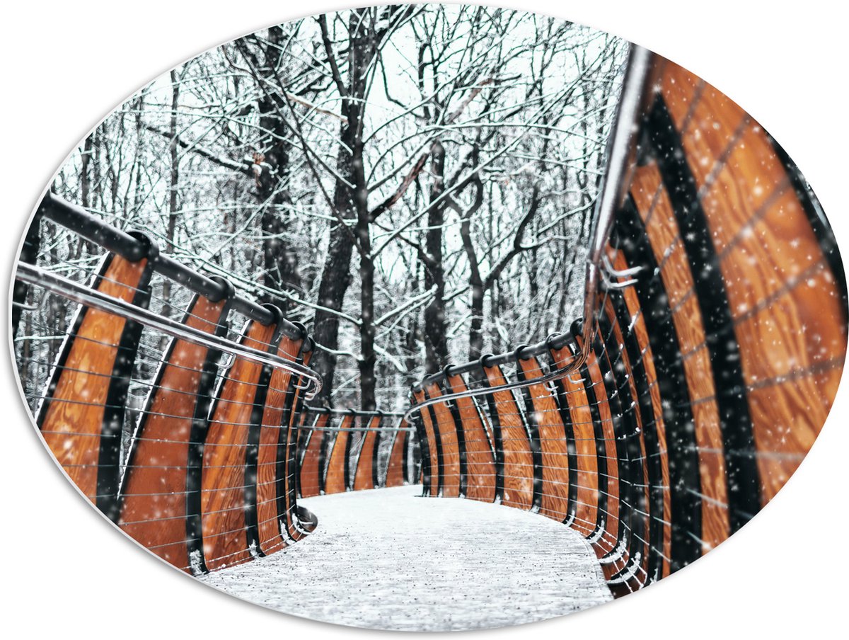 PVC Schuimplaat Ovaal - Hekwerk in Ondergesneeuwd Bos - 68x51 cm Foto op Ovaal (Met Ophang