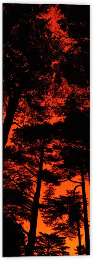 WallClassics - Dibond - Silhouet van Groep Bomen tegen Oranje Lucht - 40x120 cm Foto op Aluminium (Wanddecoratie van metaal)