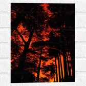 WallClassics - Muursticker - Silhouet van Groep Bomen tegen Oranje Lucht - 30x40 cm Foto op Muursticker