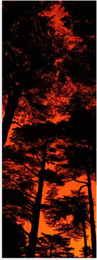WallClassics - Poster (Mat) - Silhouet van Groep Bomen tegen Oranje Lucht - 30x90 cm Foto op Posterpapier met een Matte look
