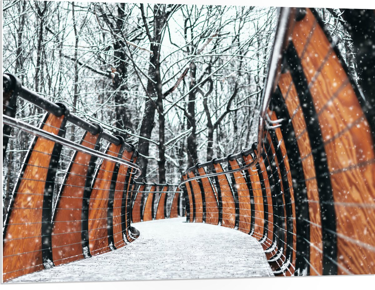 PVC Schuimplaat- Hekwerk in Ondergesneeuwd Bos - 100x75 cm Foto op PVC Schuimplaat