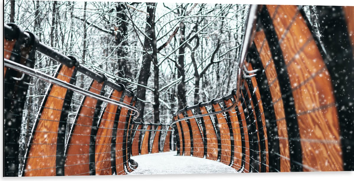 Dibond - Hekwerk in Ondergesneeuwd Bos - 100x50 cm Foto op Aluminium (Wanddecoratie van me
