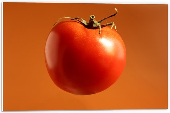 PVC Schuimplaat- Rode Tomaat tegen Oranje Achtergrond - 60x40 cm Foto op PVC Schuimplaat