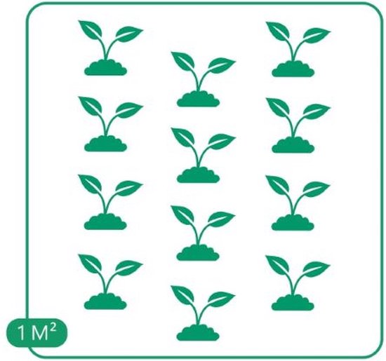 Groen icoon met 12 planten, voor 1 vierkante meter.