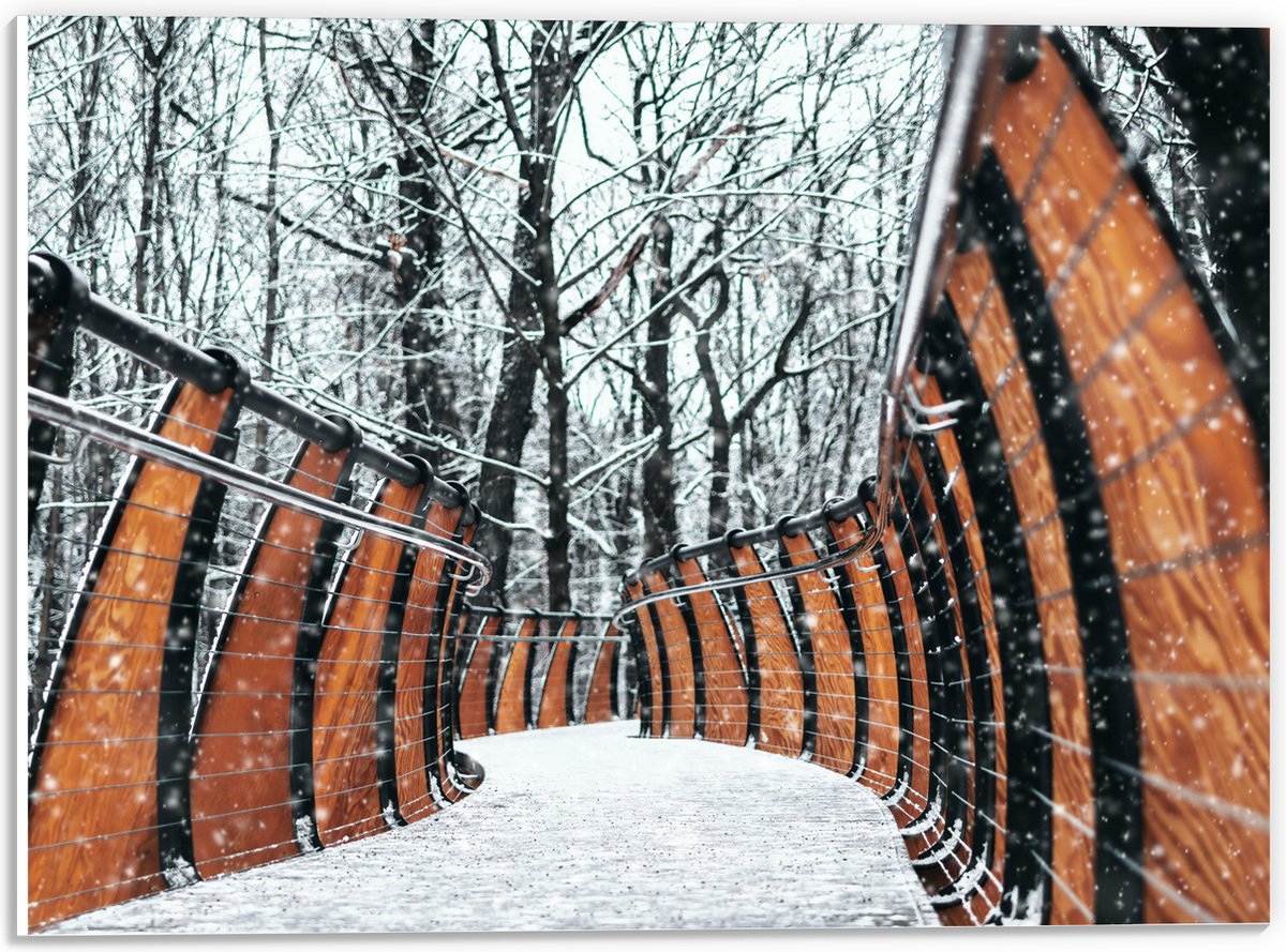 PVC Schuimplaat- Hekwerk in Ondergesneeuwd Bos - 40x30 cm Foto op PVC Schuimplaat
