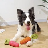 PetPlanetBe Honden speelgoed radijs -super sterk en resistent- helpen bij het poetsen van de tanden