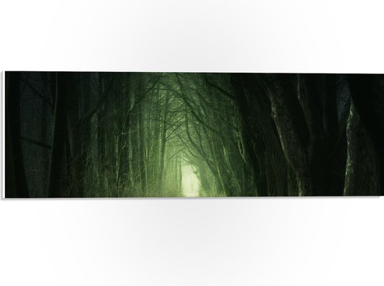 PVC Schuimplaat - Donker Pad tussen de Bomen - 60x20 cm Foto op PVC Schuimplaat (Met Ophangsysteem)