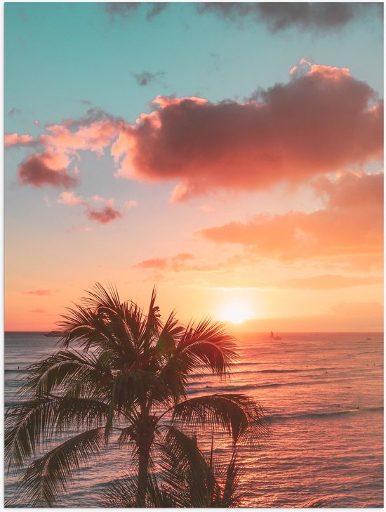 Poster Glanzend – Palmboom en Zee bij de Zonsondergang - 30x40 cm Foto op Posterpapier met Glanzende Afwerking