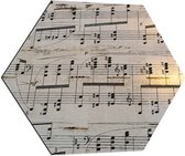 Dibond Hexagon - Muziek Notenblad - 70x60.9 cm Foto op Hexagon (Met Ophangsysteem)