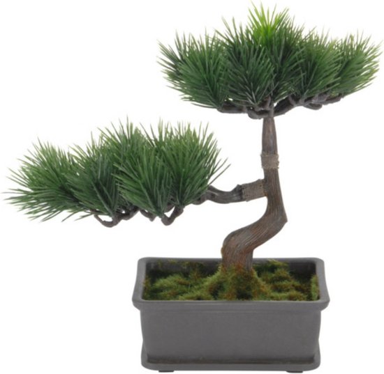 H&S Collection Plante artificielle Bonsaï en pot - décoration japonaise - 27 x 16 x 24 cm - aiguilles de pin