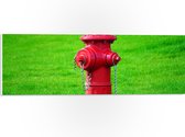 PVC Schuimplaat- Rode Brandweerpaal in Groen Gras - 60x20 cm Foto op PVC Schuimplaat