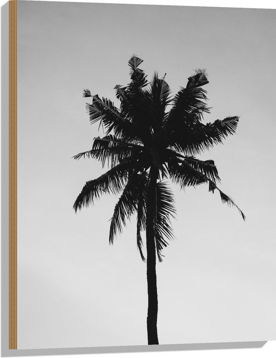 Hout - Palmboom in het Zwart Wit - 60x80 cm - 9 mm dik - Foto op Hout (Met Ophangsysteem)