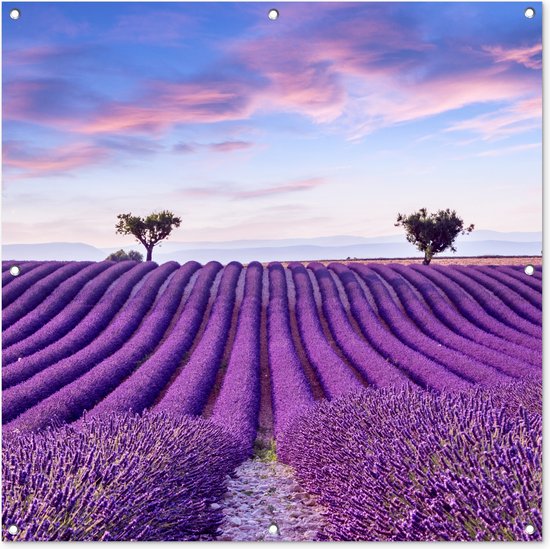 Toile de jardin Lavande - Nature - Violet - Arbres - Fleurs - 100x100 cm.