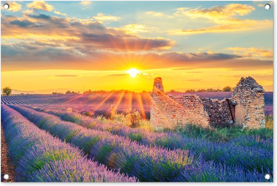Tuinposter lavendel - Bloemen - Paars - Natuur - Avond - Zon - Tuindecoratie - Tuinschilderij voor buiten - Tuin - Tuindoek - 90x60 cm - Schuttingdoek - Schutting decoratie - Schuttingposter