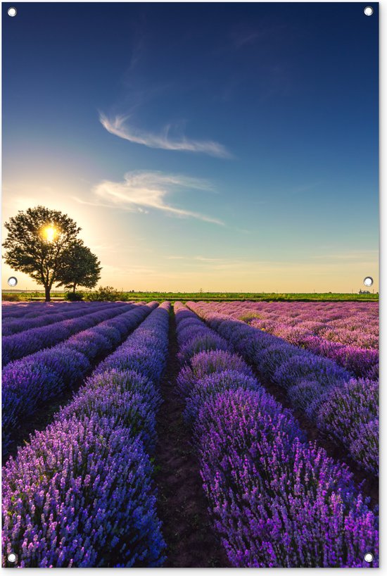 Tuinposter