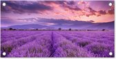 Tuinposter Lavendel - Paars - Bloemen - Veld - 60x30 cm - Tuindoek - Buitenposter