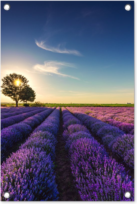 Tuinposter lavendel - Tuindecoratie bloemen - 40x60 cm - Wanddecoratie voor buiten - Schutting decoratie paars - Buitenposter - Paarse schuttingdoek - Tuindoeken - Tuin doek - Balkon poster