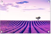 Tuindecoratie Lavendel - Bomen - Paars - Bloemen - 60x40 cm - Tuinposter - Tuindoek - Buitenposter