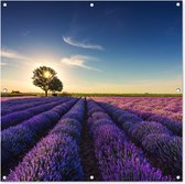 Tuinposter lavendel - Tuindecoratie bloemen - 100x100 cm - Wanddecoratie voor buiten - Schutting decoratie paars - Buitenposter - Paarse schuttingdoek - Tuindoeken - Tuin doek - Balkon poster