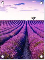 Tuin decoratie Lavendel - Bomen - Paars - Bloemen - 30x40 cm - Tuindoek - Buitenposter